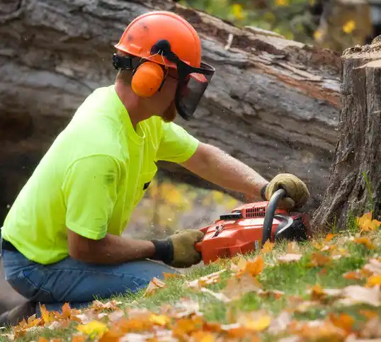 tree services Valley Cottage